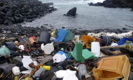 Rifiuti di plastica: una strategia europea – di Simona Fabiani