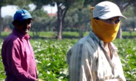 Il costo sociale della pandemia non può essere scaricato sulle donne e sui migranti – di Loredana Sasia